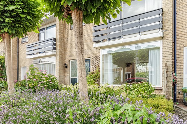 Begonia 34-57 - Bewerkt.jpg